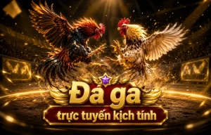 Sảnh Đá Gà Daga womenindharma